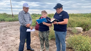 Начата работа по созданию Национального реестра устаревших пестицидов в Узбекистане