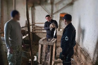 Fargʻonada “Yilqichi“ qushining noqonuniy sotilishiga chek qoʻyildi