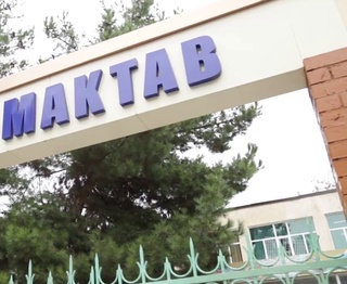 Тошкентда ўқитувчи мушукни мактаб деразасидан ташлаб юборди