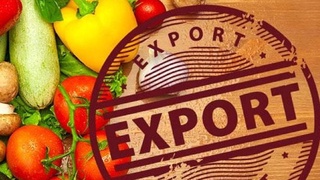 To which countries does Uzbekistan mainly export fruits and vegetables?