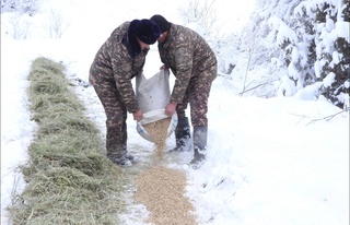Забота о природе: как в охраняемых природных территориях поддерживают дикую фауну?