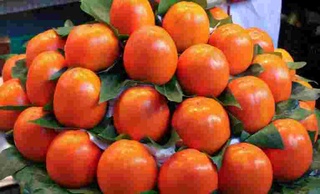 Kuz ne'matining hislatlari