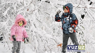 Эртага баъзи жойларда қор ёғиши мумкин