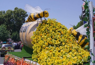 The 63rd International Flower Festival will be held in Namangan