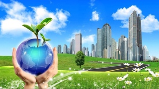 Uzbekistan has adopted the State Program for the Year of Environmental Protection and the "Green Economy"