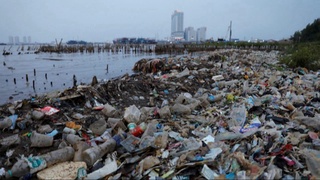 Jahon miqyosidagi muammo: chiqindilar tabiatga yuz yillab zarar yetkazadi