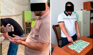 В Самаркандской и Сырдарьинской областях задержаны граждане за незаконную организацию «Умры»