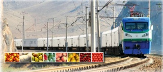 Перевозка агропродукции из Узбекистана в Россию железнодорожным транспортом станет дешевле