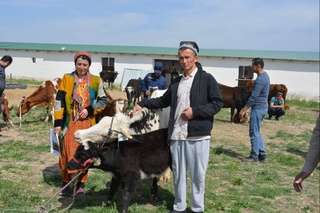 В махаллях Навоийской области, отстающих в социально-экономическом развитии и с высоким уровнем безработицы, реализуется Программа «От бедности к процветанию»