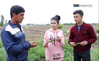 Замин билан тиллашаётган ёшлар