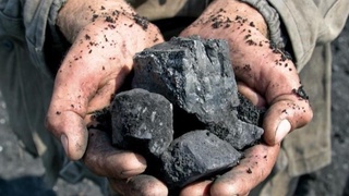 “Шарғункўмир” кўмир сотиш нархларини белгилади