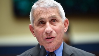 Бош мутахассис дельта штаммининг хусусиятлари ҳақида сўз юритди