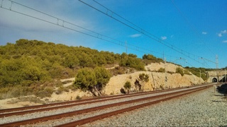 АҚШда поезд ҳалокатга учради, иккити вагон Миссисипи дарёсига ағдарилиб тушди