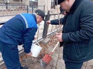 Суўшылар еки бағ жаратты