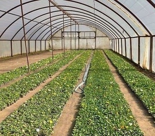 Namangan tumanida “mahallabay” ishlash tizimi jadal ketmoqda