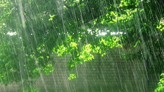 «Узгидромет» шұғыл ақпарат жариялады