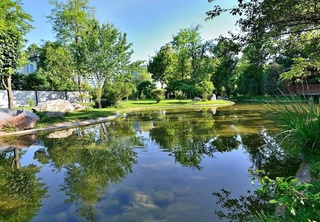 Weather forecast for August 15