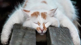 Выходные ожидаются теплыми