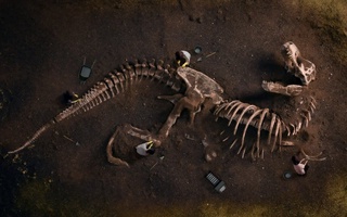 Қирғизистонда йиртқич динозаврларнинг янги тури қолдиқлари топилди