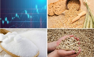 На Узбекской республиканской товарно-сырьевой бирже снизились цены на зерно, сахар и комбикорм