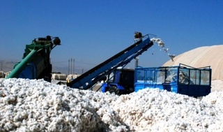 Andijondagi xirmonda paxta yonib ketdi