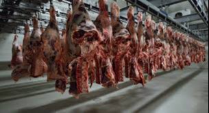 Эссиз, 351 кило гўшт куйиб кул бўлди