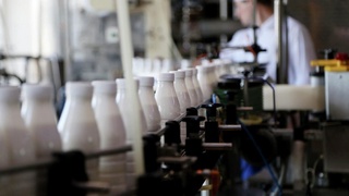 Sut mahsulotlari ustiga uning tabiiy yoki quruq sutdan ishlab chiqarilganini yozib qoʻyish shart boʻladi