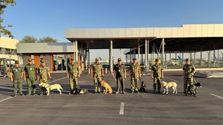 Служебные собаки из Узбекистана направлены в Корею для борьбы с наркотиками