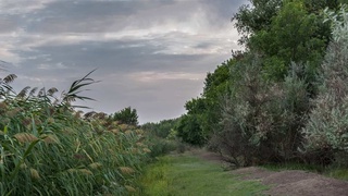 Аптаның соңында ыстық біраз төмендейді