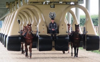 Отларни пойгага тайёрлайдиган машқ қилдирувчи ускуна ишлаб чиқилди