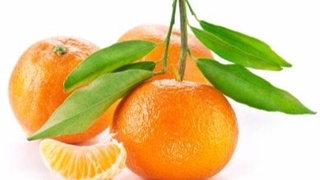 11 oyda 8,4 ming tonna apelsin import qilingan