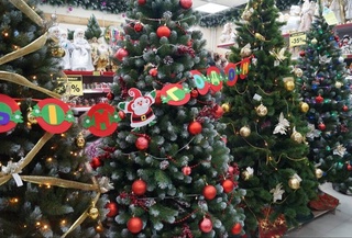 Пешгӯии обу ҳаво барои 28 декабар