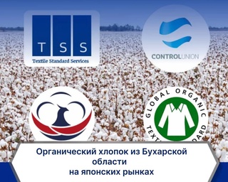 Органический хлопок из Бухарской области представлен на японских рынках