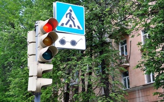 Звуковые светофоры установят в районах, где проживают дети с нарушениями зрения