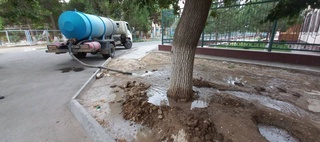 В Навоийской области оштрафовано 36 ответственных лиц, оставившие без должного ухода посадки зеленых насаждений