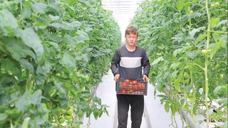 Популяризация опыта, поддержка инициатив