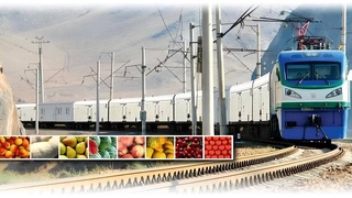 Узбекистан и Россия обсудили запуск проекта «АгроЭкспресс»