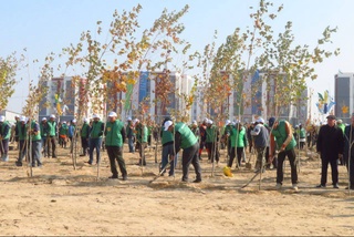 В Кызылтепинском районе Навоийской области заложили сад на площади 101 гектар