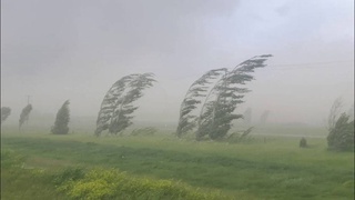 Bugun va dam olish kunlari shamol tezligi kuchayishi kutilmoqda