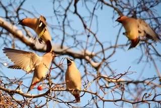 Прогноз погоды на 6 февраля