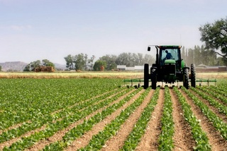 Қишлоқ хўжалиги ерларини ривожлантириш бўйича янги талаблар ишлаб чиқилмоқда