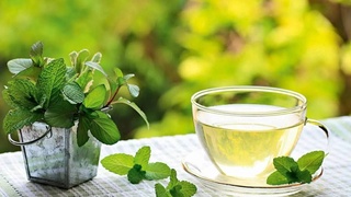 Мятный чай улучшает память и внимание