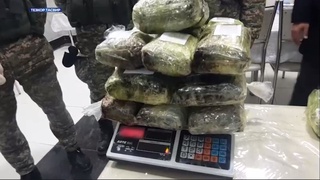 Samarqandda 26 kg narkotik moddaning noqonuniy aylanmasiga chek qoʻyildi