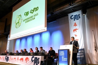 Швейцарияда Ўзбекистон CITES COP20 расмий логотипини тақдим этди