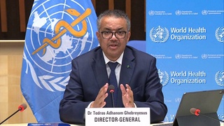 Глава ВОЗ объявил о завершении режима чрезвычайной ситуации по оспе обезьян