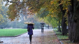 Прогноз погоды на 28 октября