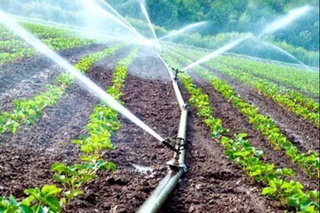 Suvni isrof qilganlar jarimaga tortildi