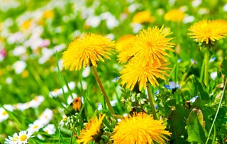 Weather forecast for March 18