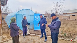 ФАО поддерживает жителей Ферганской долины в стремлении развивать тепличный бизнес