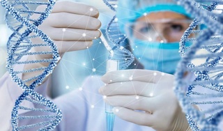 В некоторых областях республики наладят экспертизу ДНК человека